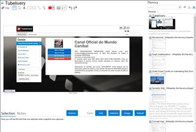 Tubelivery - Flamory bookmarks and screenshots