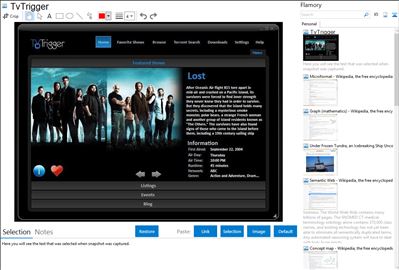 TvTrigger - Flamory bookmarks and screenshots