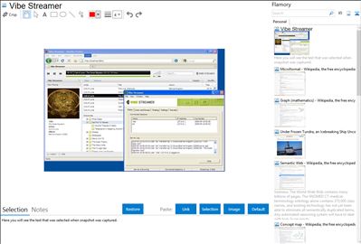 Vibe Streamer - Flamory bookmarks and screenshots