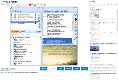 VideoPsalm - Flamory bookmarks and screenshots