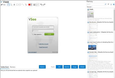 Vsee - Flamory bookmarks and screenshots