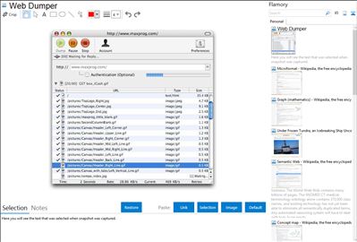 Web Dumper - Flamory bookmarks and screenshots
