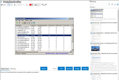 WebSiteSniffer - Flamory bookmarks and screenshots