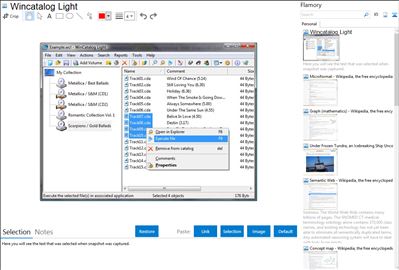 Wincatalog Light - Flamory bookmarks and screenshots