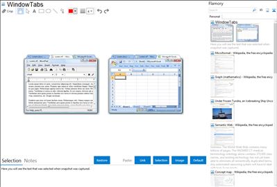WindowTabs - Flamory bookmarks and screenshots