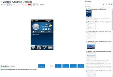 WisBar Advance Desktop - Flamory bookmarks and screenshots
