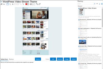 WordPress Video Stream Theme - Flamory bookmarks and screenshots