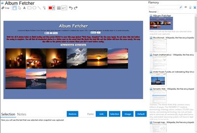 Album Fetcher - Flamory bookmarks and screenshots