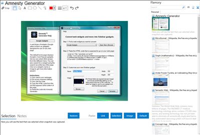 Amnesty Generator - Flamory bookmarks and screenshots