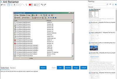 Ant Renamer - Flamory bookmarks and screenshots