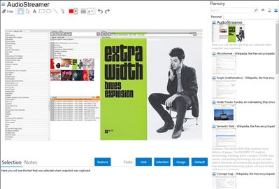AudioStreamer - Flamory bookmarks and screenshots