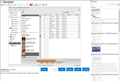 Banshee - Flamory bookmarks and screenshots