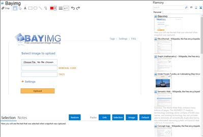 Bayimg - Flamory bookmarks and screenshots