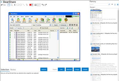 BearShare - Flamory bookmarks and screenshots