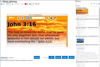 BibleLightning - Flamory bookmarks and screenshots