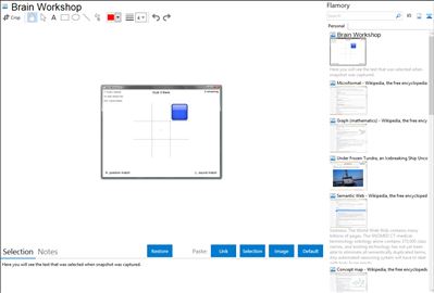 Brain Workshop - Flamory bookmarks and screenshots