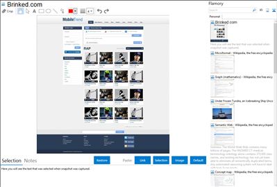 Brinked.com - Flamory bookmarks and screenshots