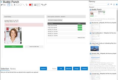 Buddy Punch - Flamory bookmarks and screenshots