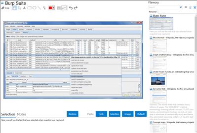 Burp Suite - Flamory bookmarks and screenshots
