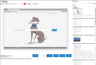 Busk - Flamory bookmarks and screenshots
