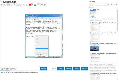 CatchChar - Flamory bookmarks and screenshots
