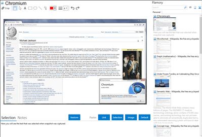 Chromium - Flamory bookmarks and screenshots