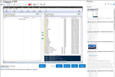 Classic FTP - Flamory bookmarks and screenshots
