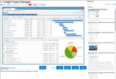 Cobalt Project Manager - Flamory bookmarks and screenshots