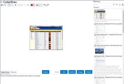 CyberBrau - Flamory bookmarks and screenshots