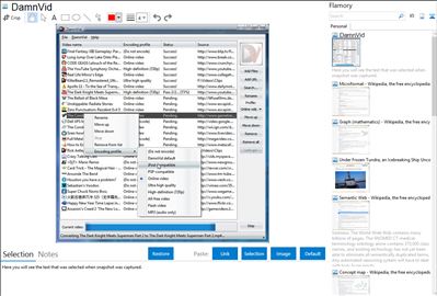 DamnVid - Flamory bookmarks and screenshots
