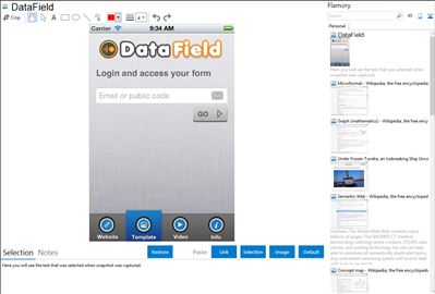 DataField - Flamory bookmarks and screenshots