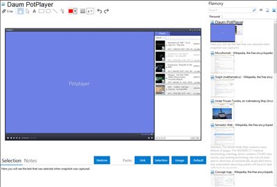 Daum PotPlayer - Flamory bookmarks and screenshots