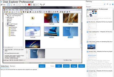Disk Explorer Professional - Flamory bookmarks and screenshots