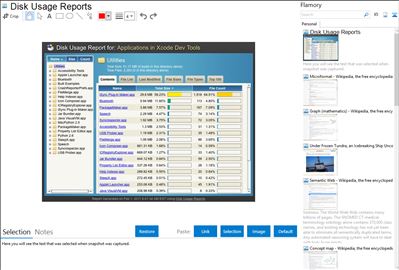 Disk Usage Reports - Flamory bookmarks and screenshots