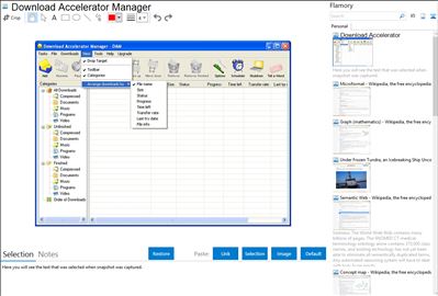 Download Accelerator Manager - Flamory bookmarks and screenshots