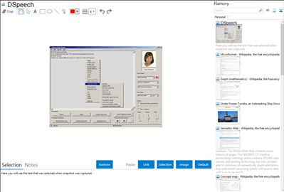 DSpeech - Flamory bookmarks and screenshots