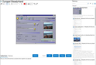 Dynapel SteadyHand - Flamory bookmarks and screenshots