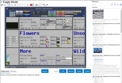 Eagle Mode - Flamory bookmarks and screenshots