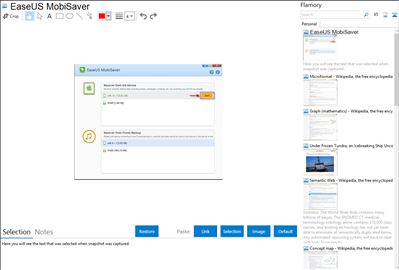 EaseUS MobiSaver - Flamory bookmarks and screenshots