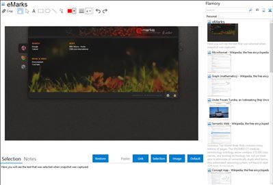 eMarks - Flamory bookmarks and screenshots