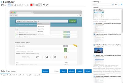 Everhour - Flamory bookmarks and screenshots