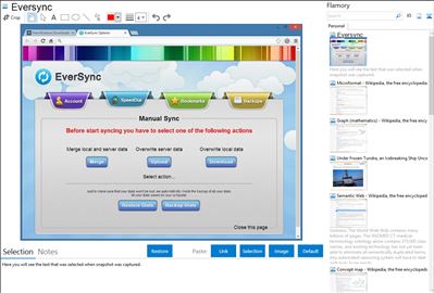 Eversync - Flamory bookmarks and screenshots