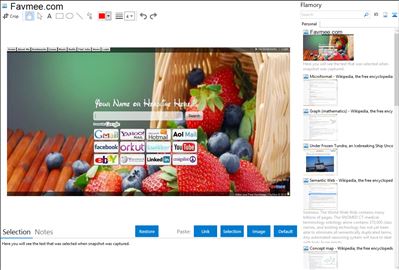Favmee.com - Flamory bookmarks and screenshots