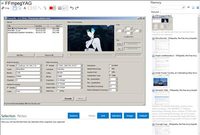 FFmpegYAG - Flamory bookmarks and screenshots