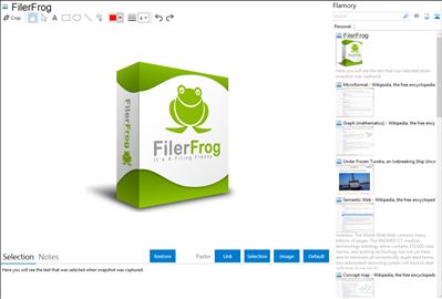 FilerFrog - Flamory bookmarks and screenshots