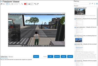 Firestorm Viewer - Flamory bookmarks and screenshots