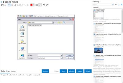 FlashFolder - Flamory bookmarks and screenshots