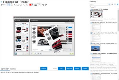 Flipping PDF Reader - Flamory bookmarks and screenshots