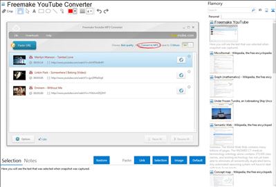 Freemake YouTube Converter - Flamory bookmarks and screenshots