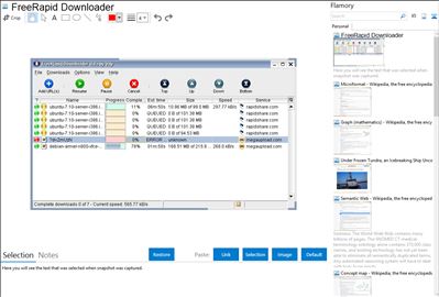 FreeRapid Downloader - Flamory bookmarks and screenshots